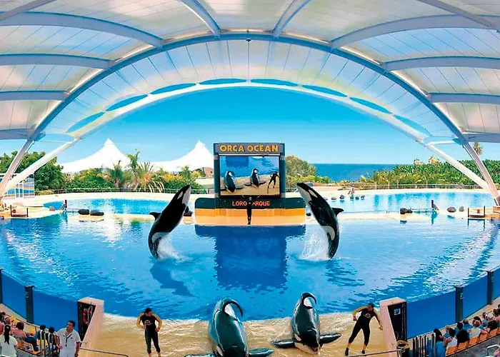 Albatros 406b Mit Wasserblick By Interhome *